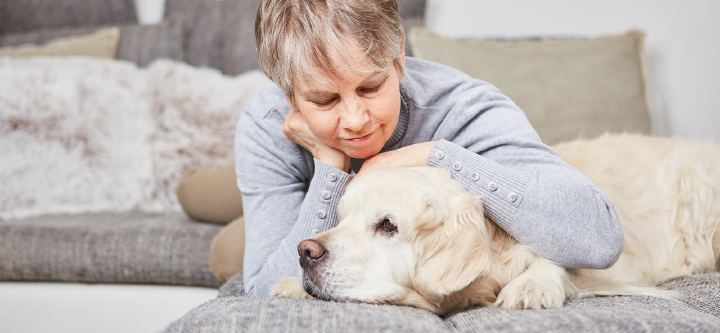 themenwelt themeneinstieg hundeernaehrung alten hund 1600x740
